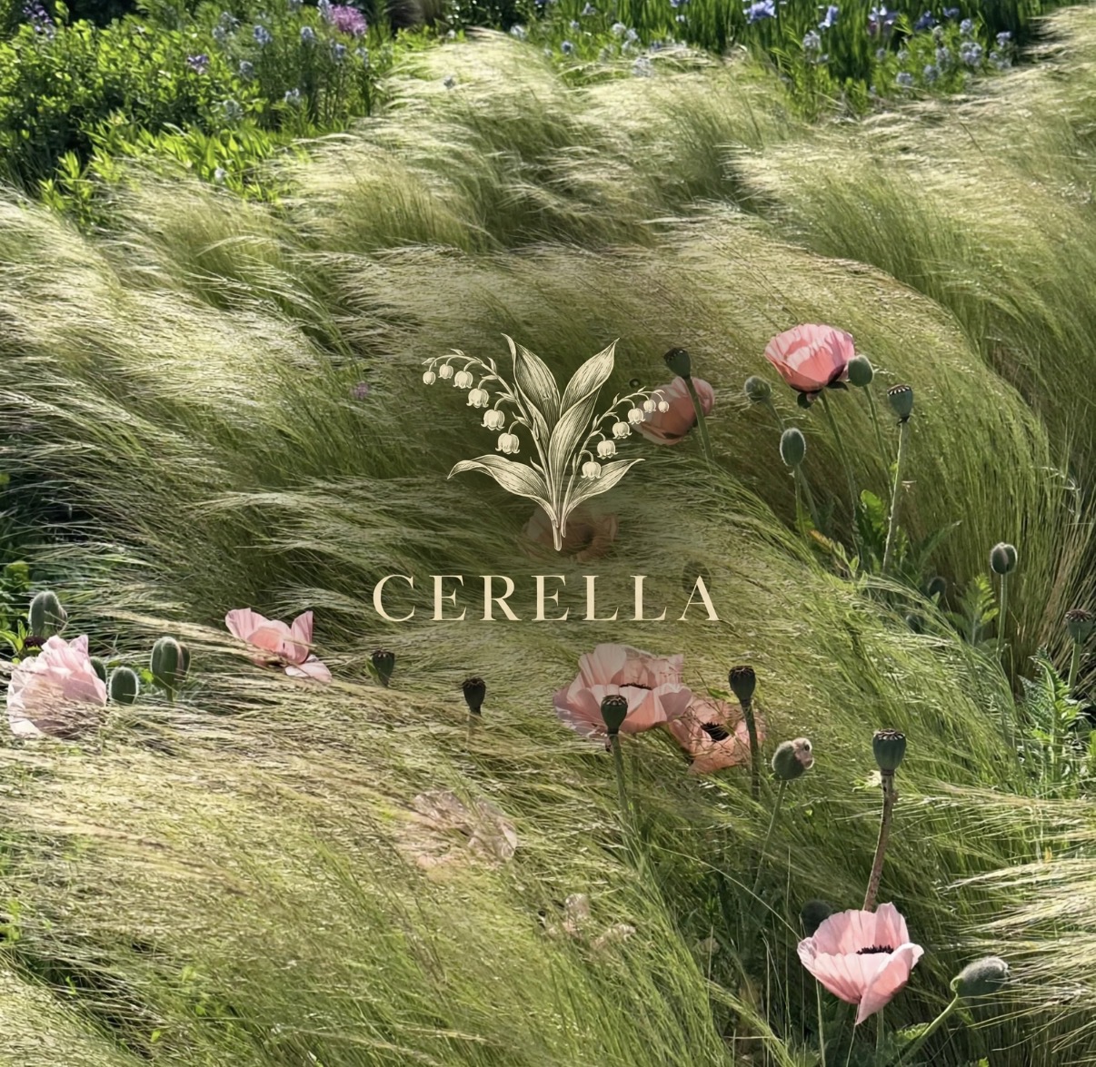 Cerella wordmark with lily of the valley emblem over a wind-swept meadow of grasses and pale pink poppies
